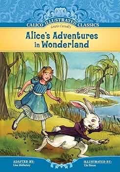 洋書 alice's adventures in wonderland 81WncwX+LzL._UF350,350_QL50_.jpg